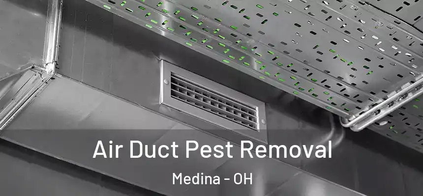 Air Duct Pest Removal Medina - OH