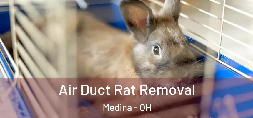 Air Duct Rat Removal Medina - OH
