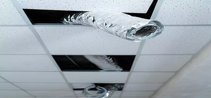 Affordable HVAC Sanitizing After Pest Removal in Medina