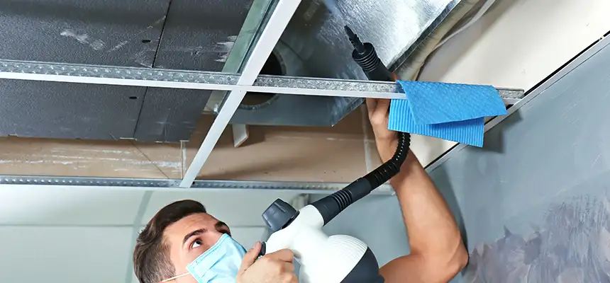 Our Air Duct Rodent Removal Services in Medina, OH