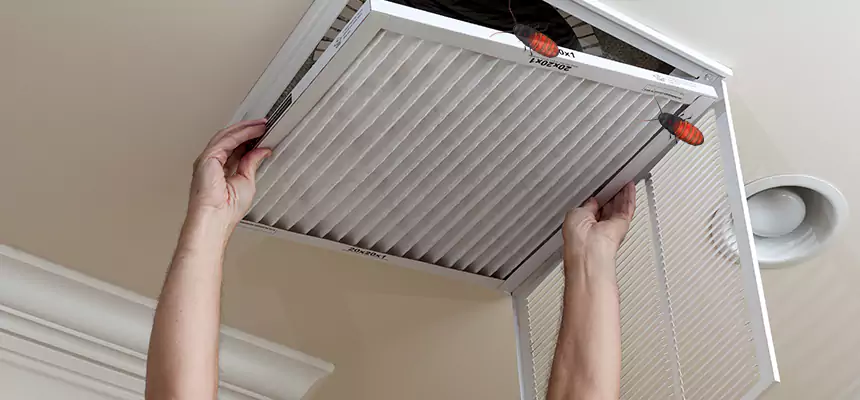 Our Insect Removal from Air Ducts Services in Medina, OH