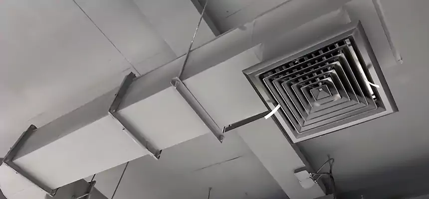 Our Pest Removal From Ducts Services in Medina, OH