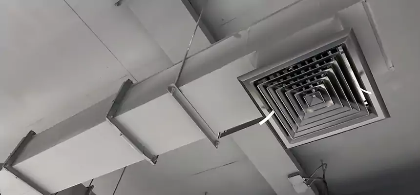 Our Rodent Droppings In Vents Services in Medina, OH