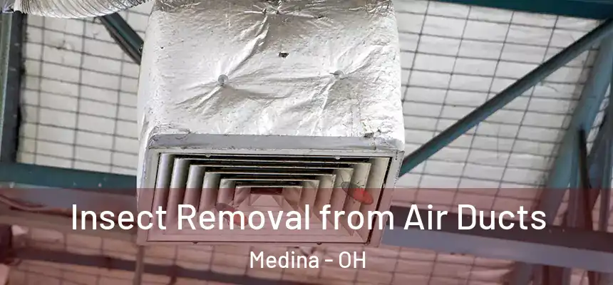 Insect Removal from Air Ducts Medina - OH