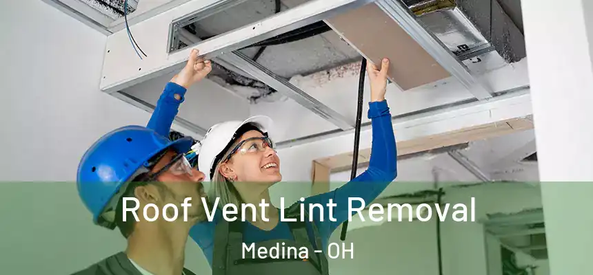  Roof Vent Lint Removal Medina - OH