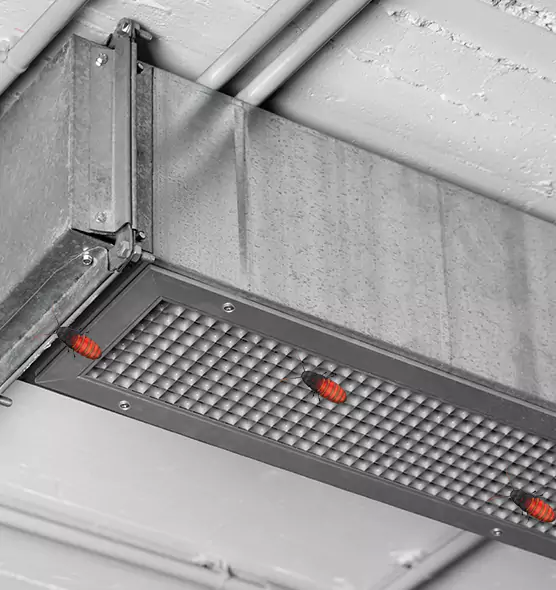 Affordable Insect Removal from Air Ducts in Medina, OH