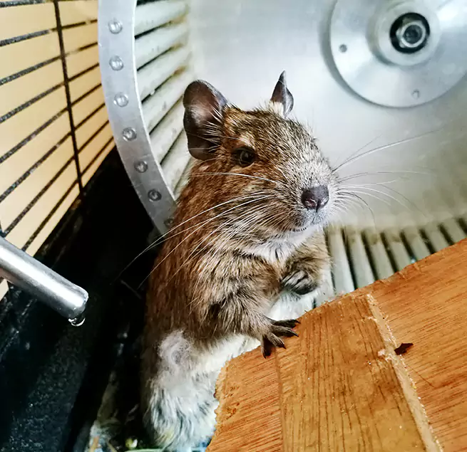 Why Homeowners & Businesses Trust Us Medina, OH